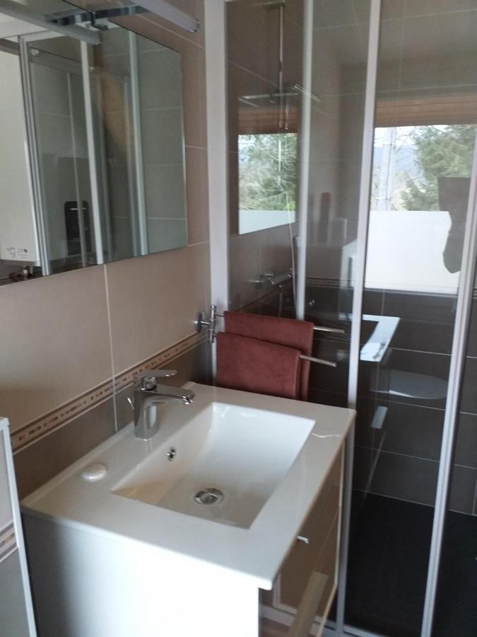 Saint-Martin-du-Frene Au Petit Bonheur Bed & Breakfast エクステリア 写真