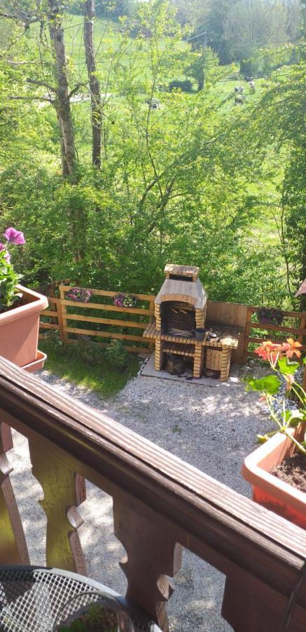 Saint-Martin-du-Frene Au Petit Bonheur Bed & Breakfast エクステリア 写真